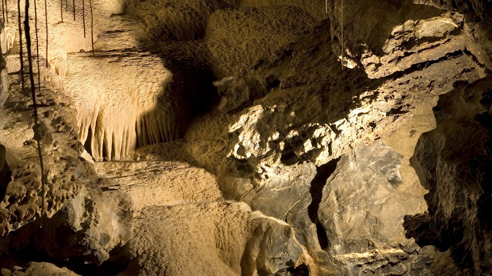 Mole Creek Caves