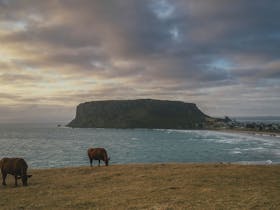 Stanley image
