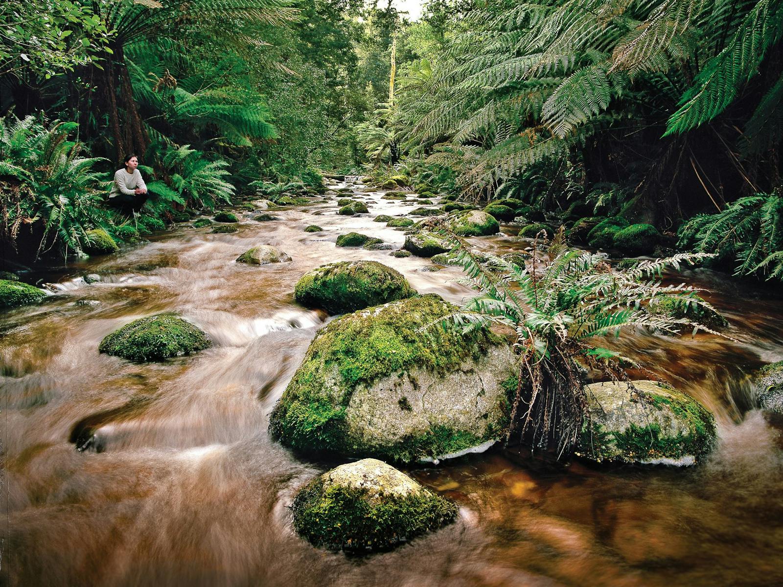 Great Short Walks - Evercreech Forest Reserve