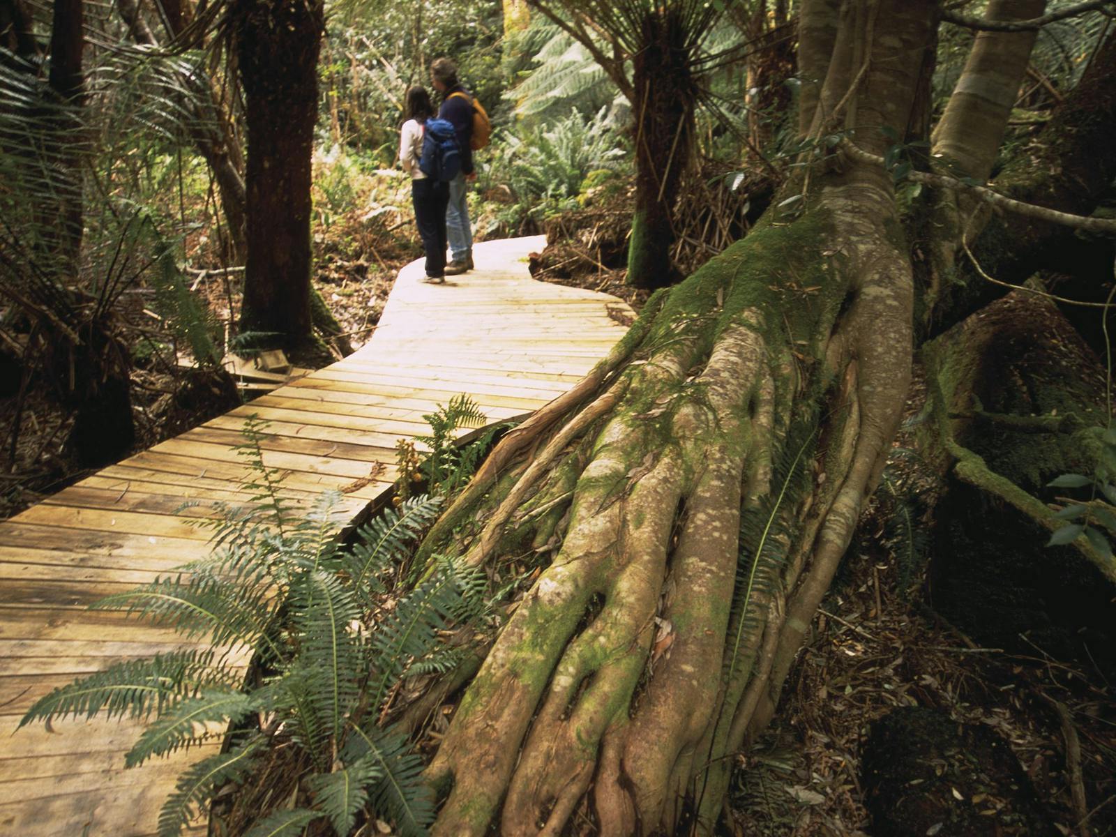 Great Short Walks - Evercreech Forest Reserve