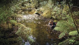 Arthur River