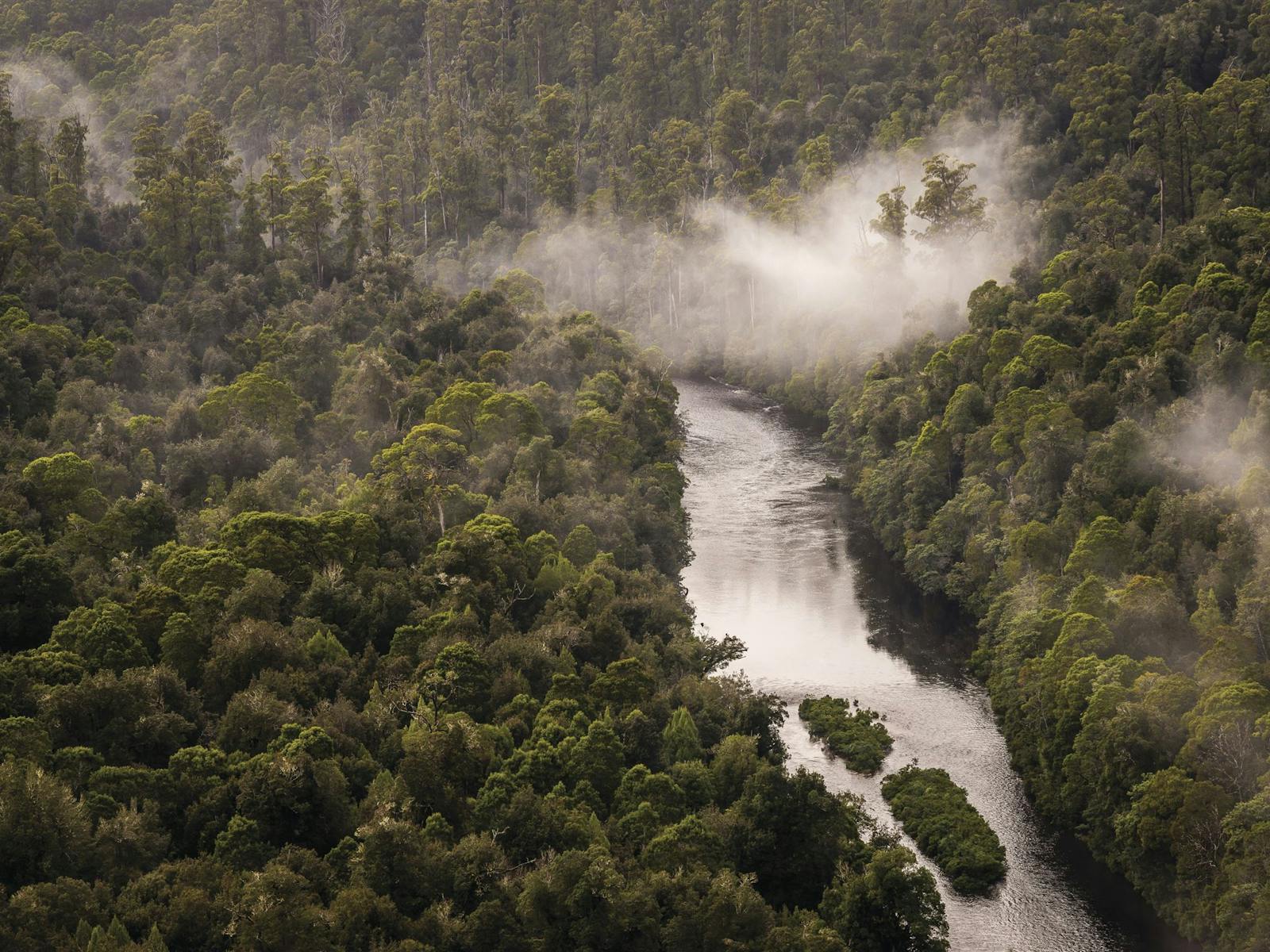 View of the Arthur River from Sumac Lookout