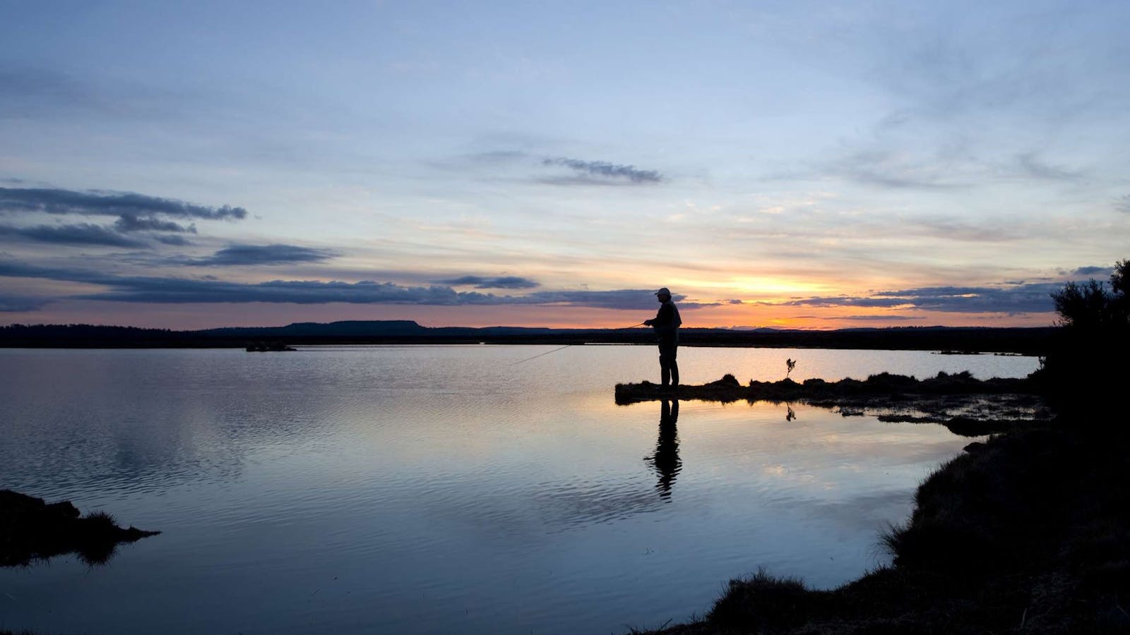 Fish Wild Tasmania - Trout Fishing Tours