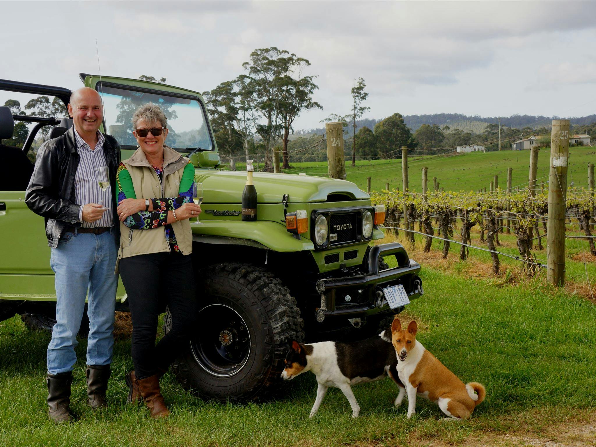 Brook Eden Vineyard