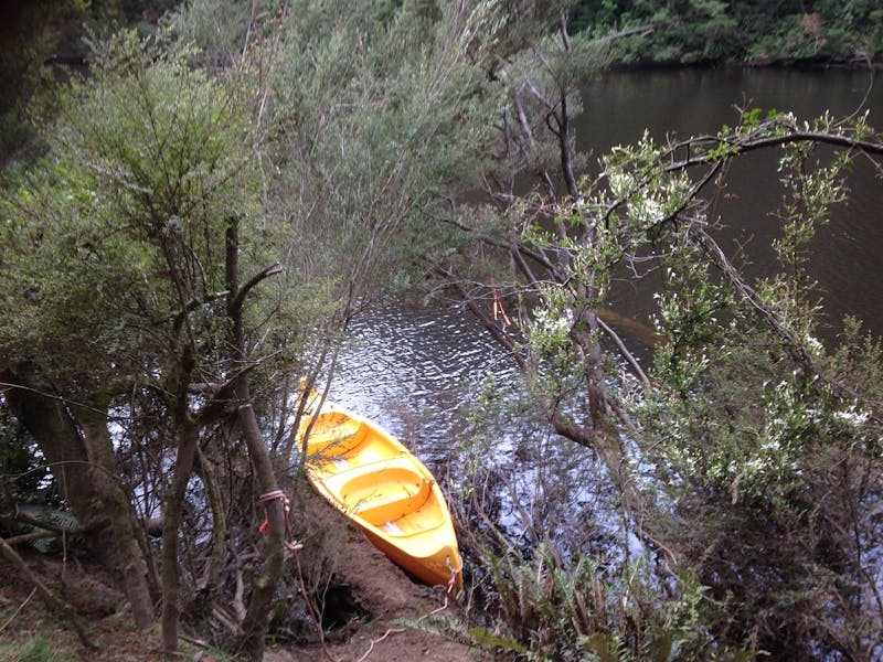 Arthur River Canoe and Boat Hire - Discover Tasmania