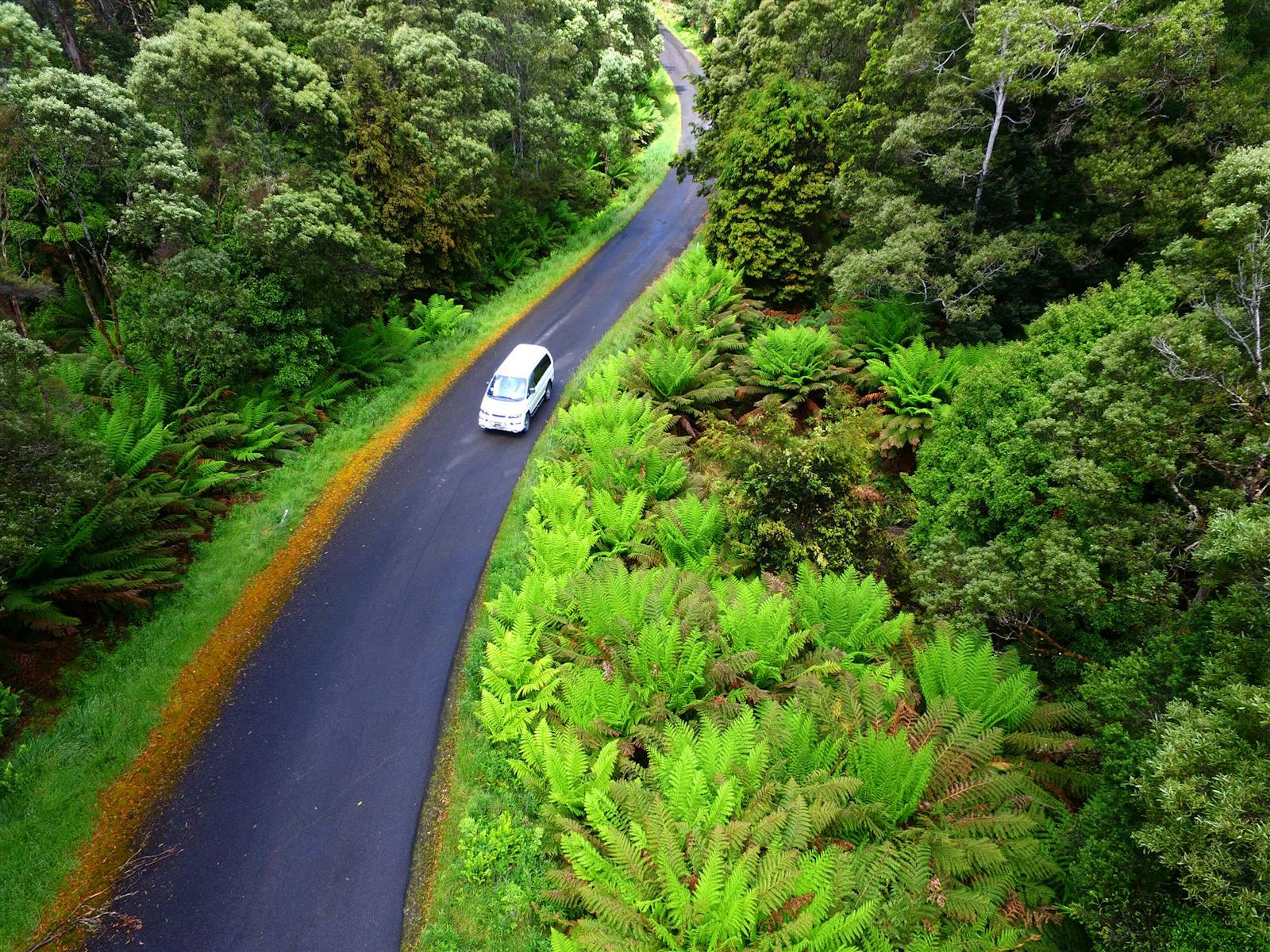 The Tarkine Drive