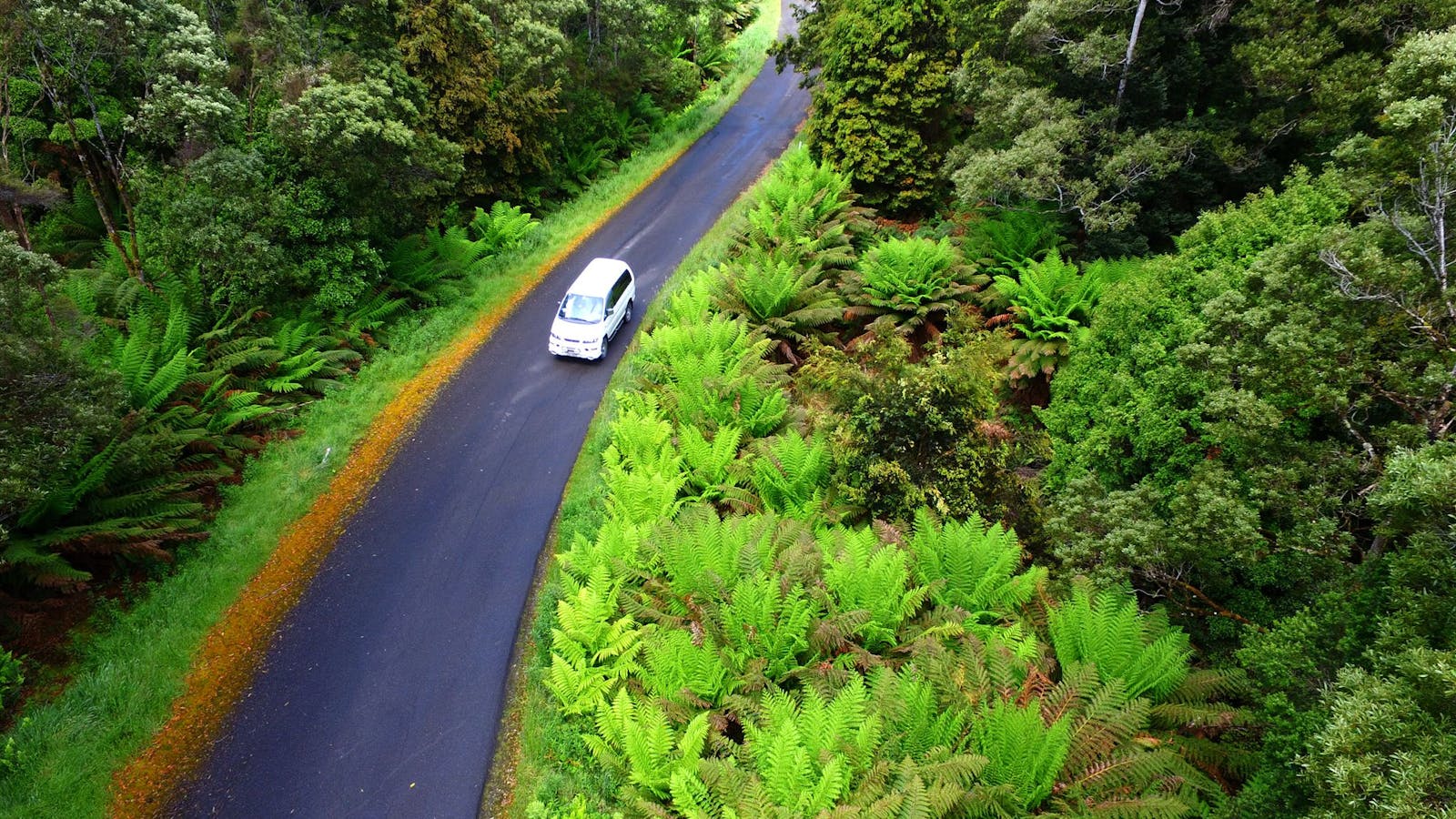 The Tarkine Drive