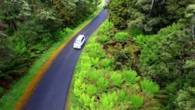 The Tarkine Drive