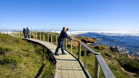 The Tarkine Drive