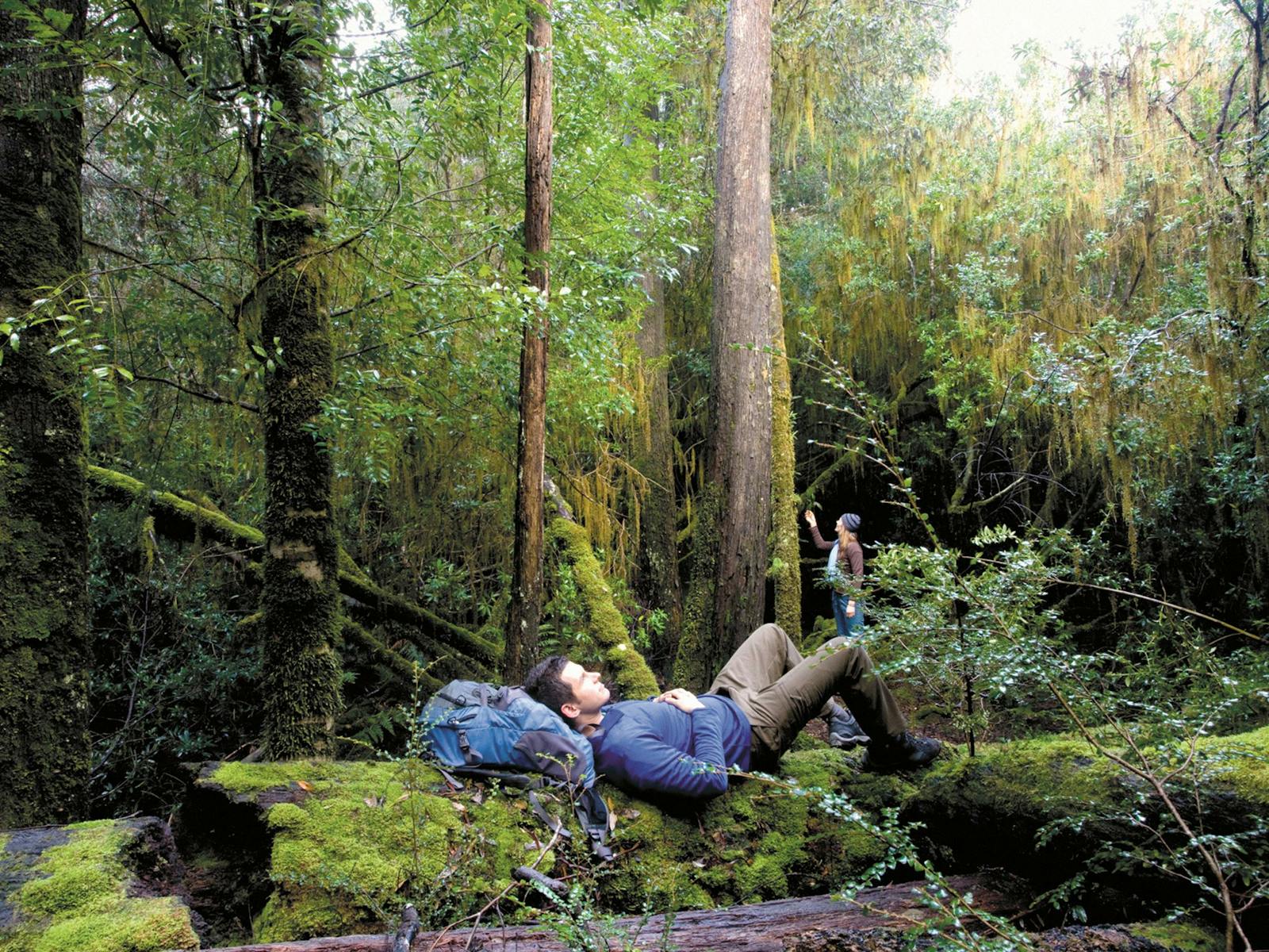 Relax in the Tarkine