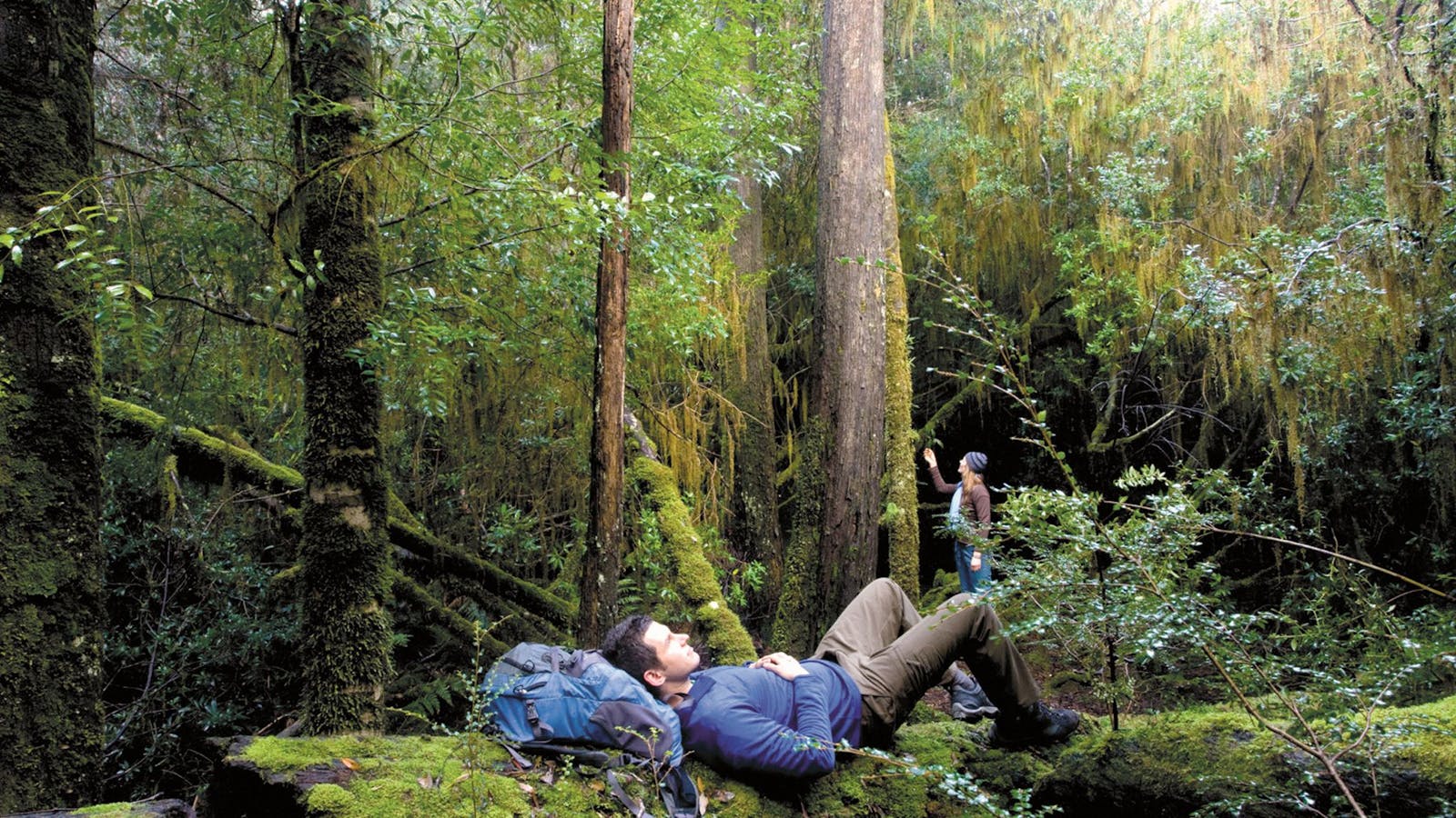 The Tarkine Drive
