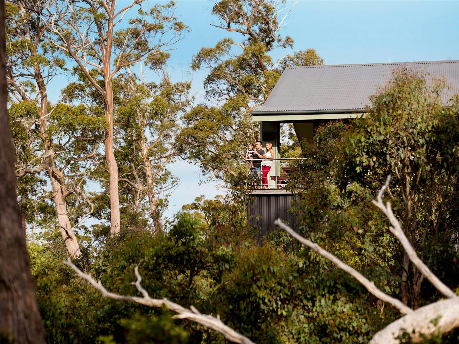 Cradle Mountain Hotel