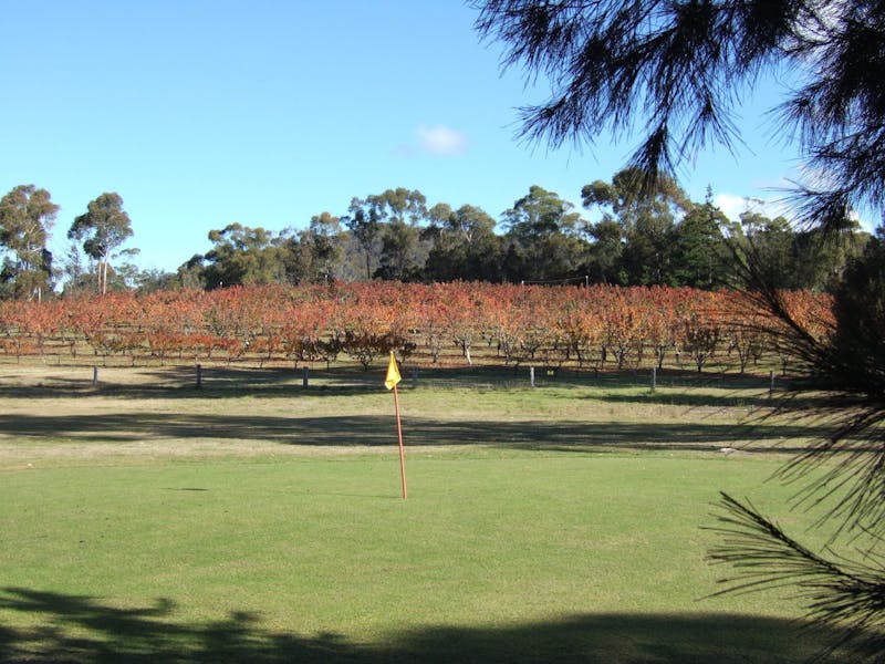 Cerise Brook Orchard And Chip N Putt Family Golf Course Discover Tasmania