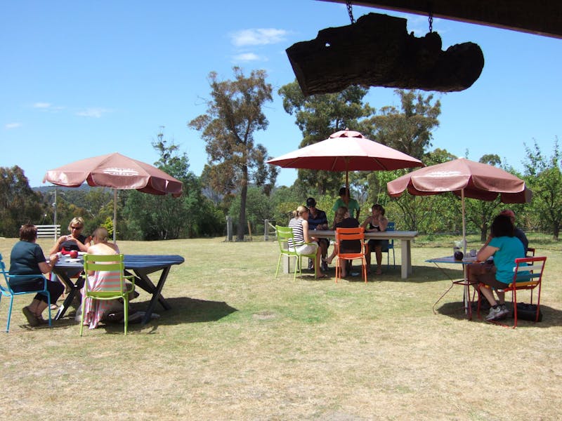 Cerise Brook Orchard And Chip N Putt Family Golf Course Discover Tasmania