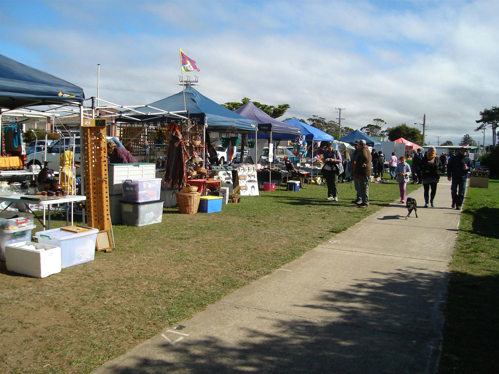 The Bloomin' Tulips Wynyard Foreshore Markets