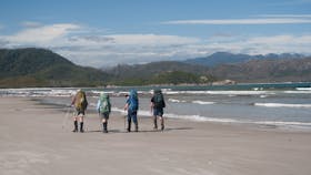 Trek Tasmania