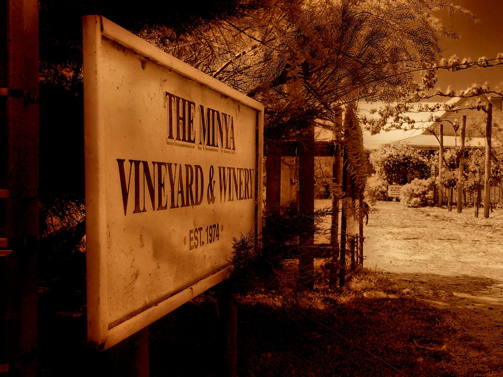 The Minya Vineyard & Winery