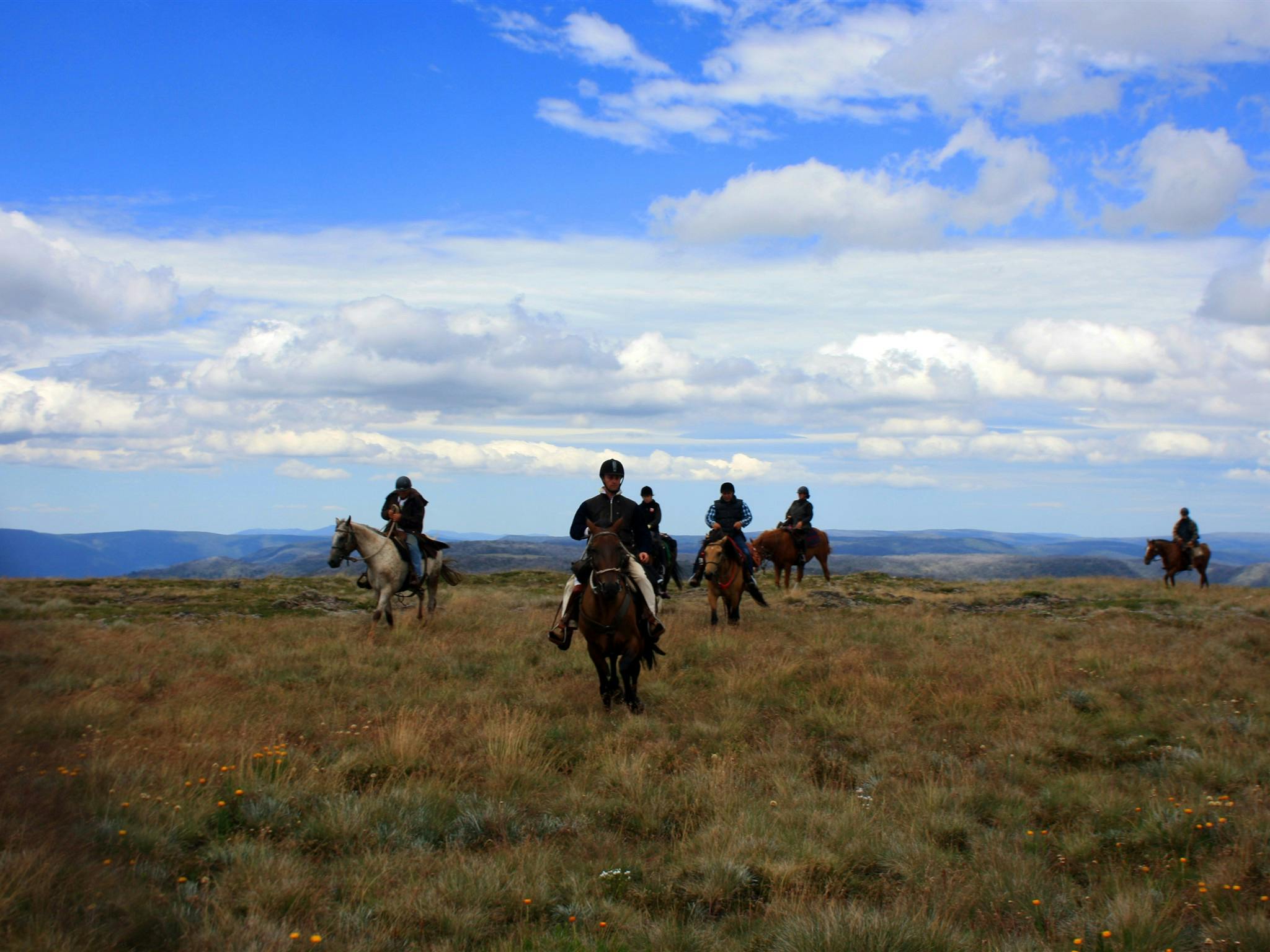 McCormack's Mountain Valley Trail Rides
