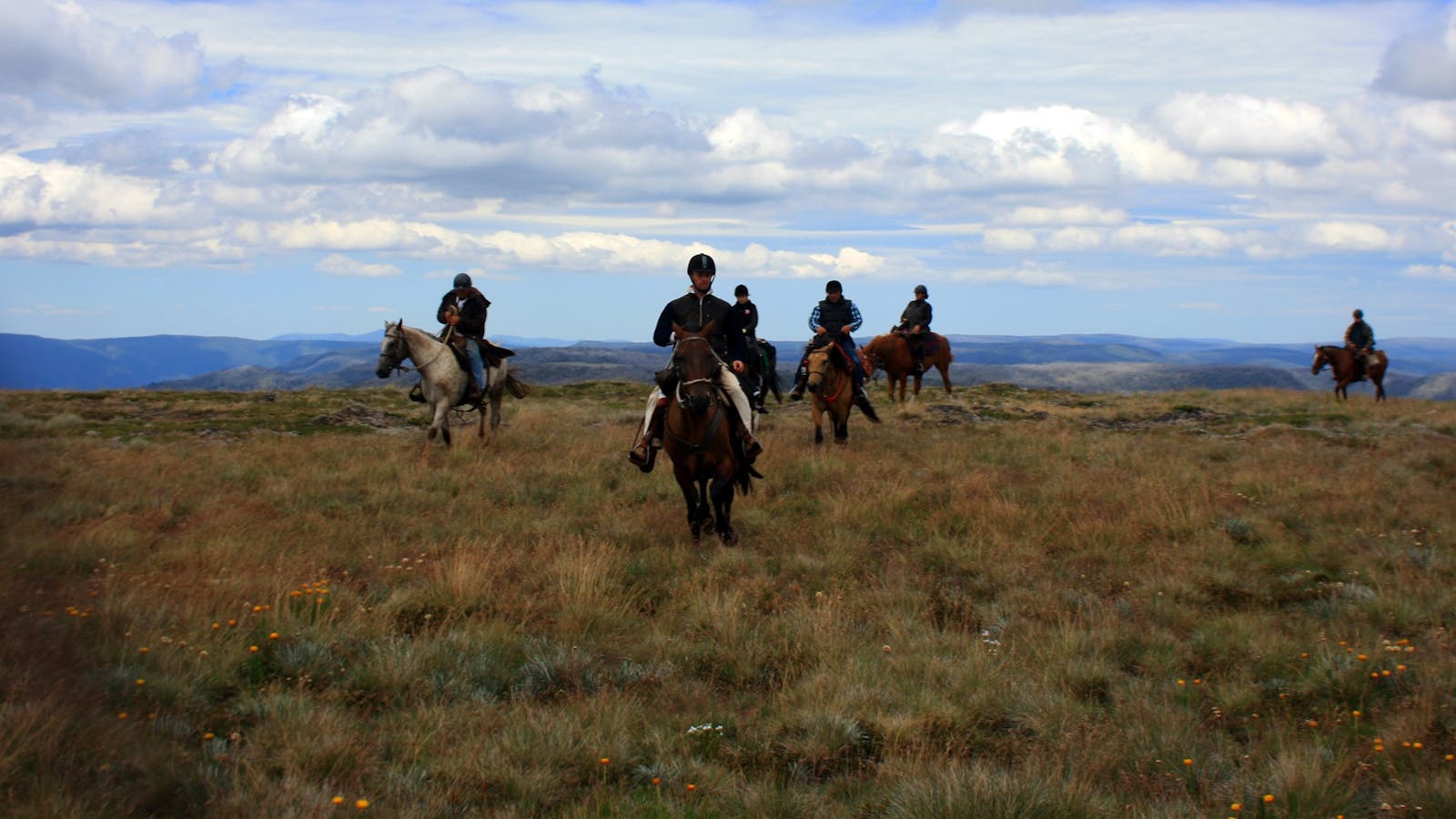 McCormack's Mountain Valley Trail Rides
