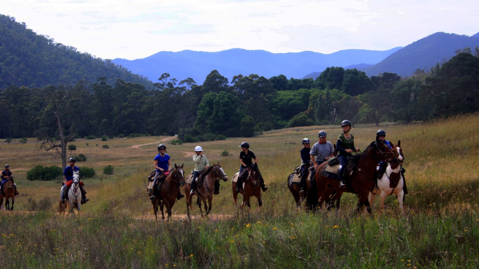 McCormack's Mountain Valley Trail Rides