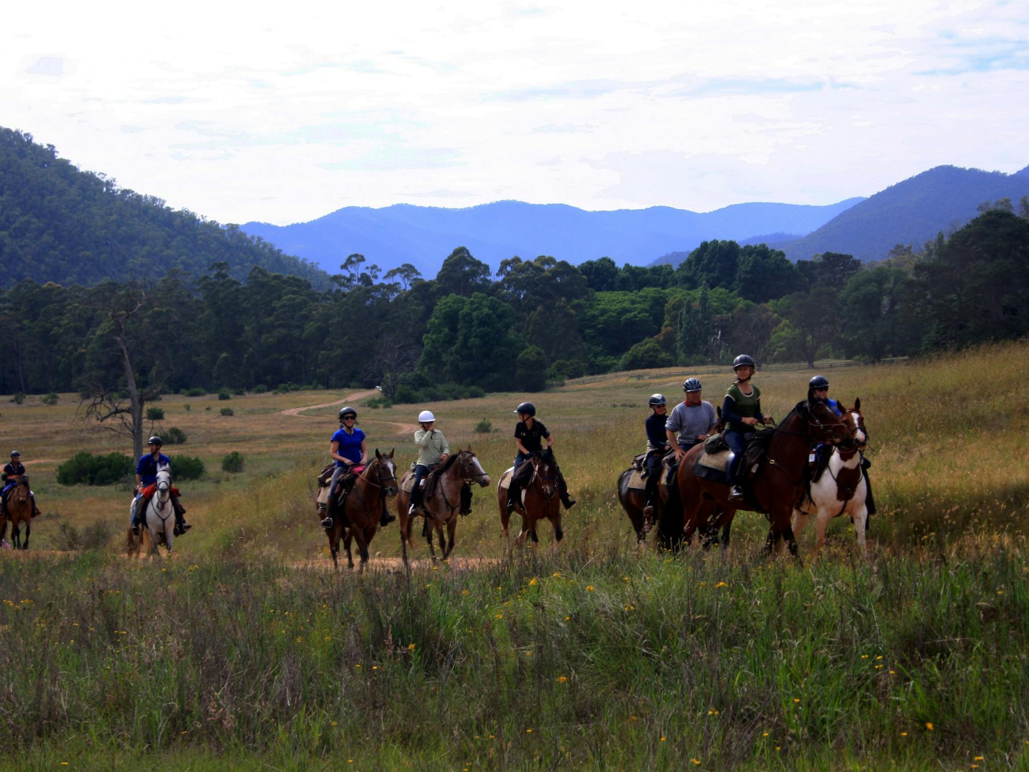 King Valley