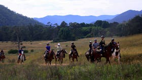 King Valley