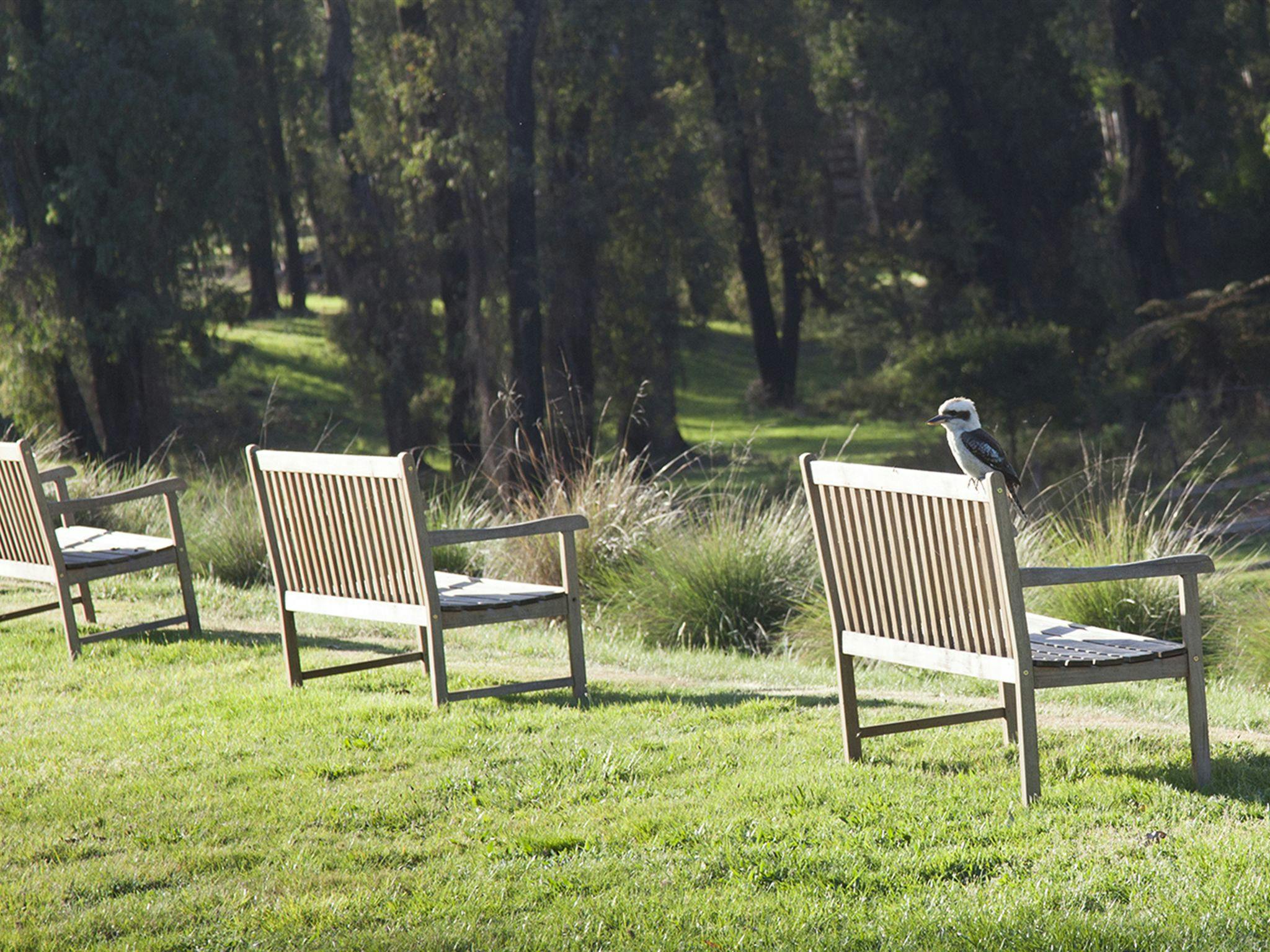 ATDW_Extra_Large_Landscape__9755418_DY43_Benches.jpg