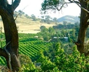 Last Stop Ambledown Brook