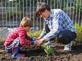 Image for National Tree Day