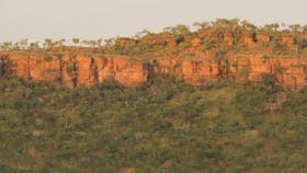 Escarpment Walk
