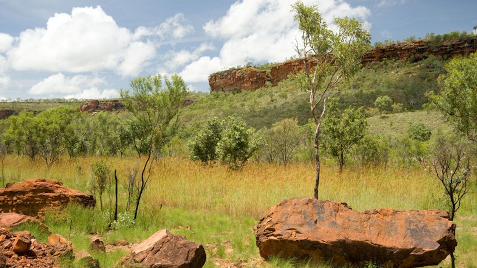 Escarpment Walk