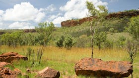 Escarpment Walk