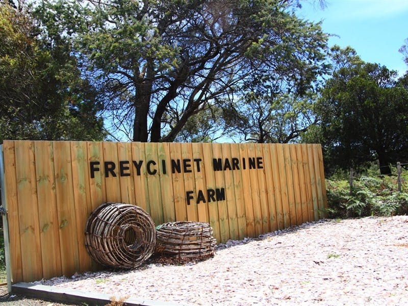 Marine Farm Discover Tasmania