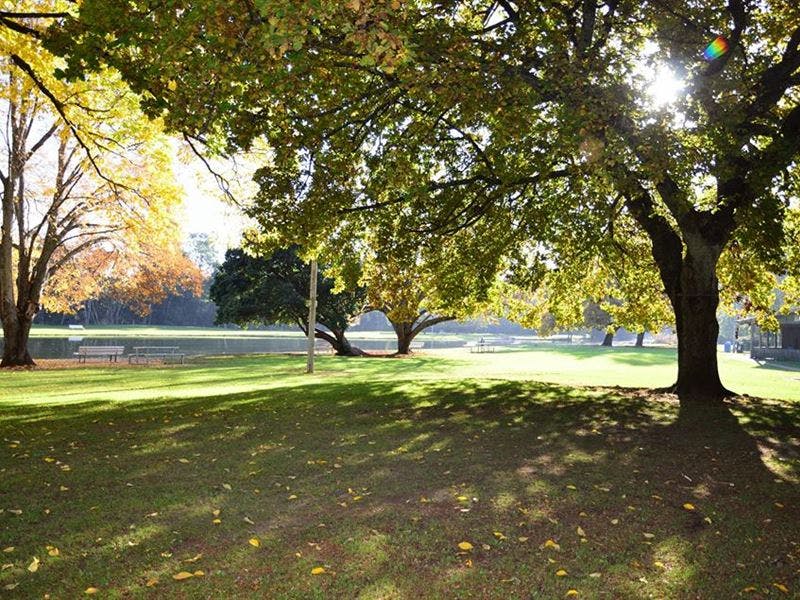 Australian Axeman's Hall of Fame Discover Tasmania Australian Axeman's Hall of Fame Discover Tasmania