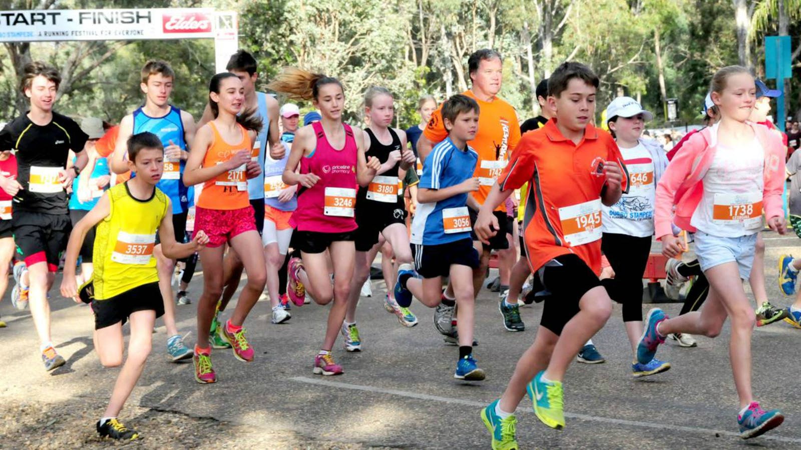 Image for MAAS Group Dubbo Stampede Running Festival