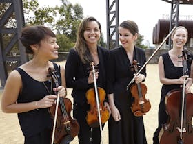 The Metropolitan Orchestra presents The Serenades