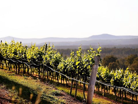 マウントビュー