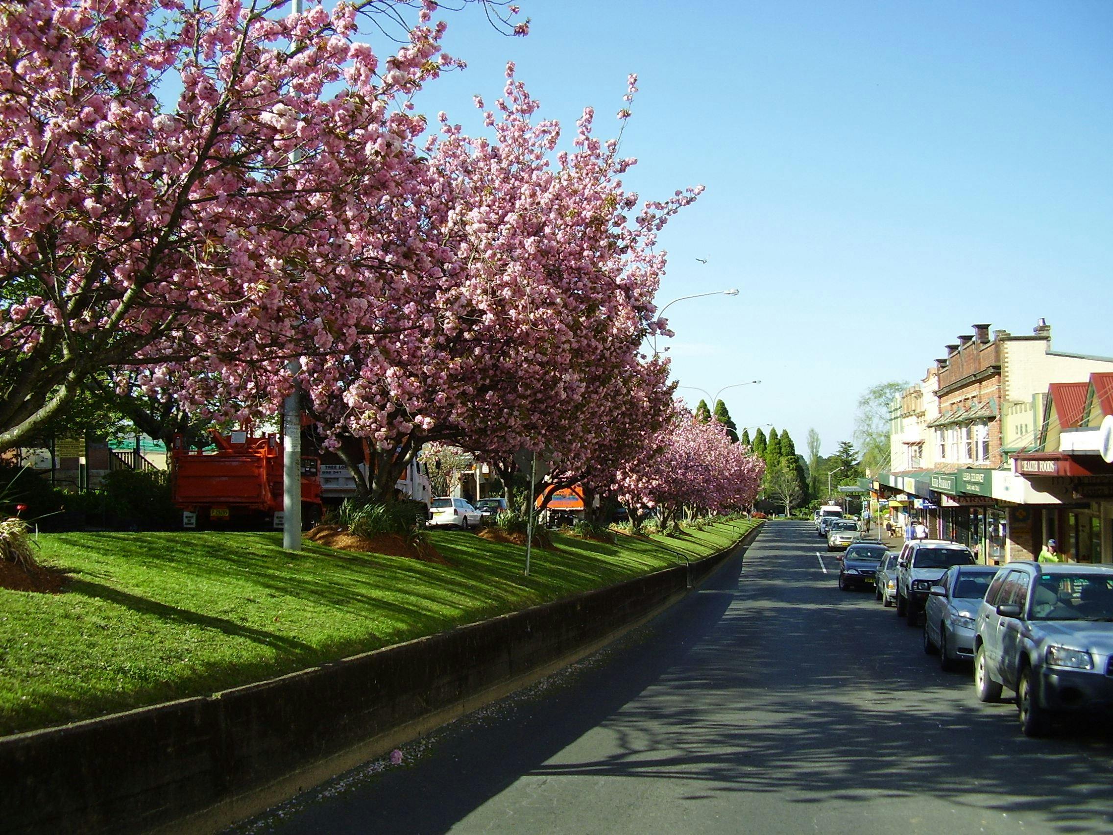 Leura