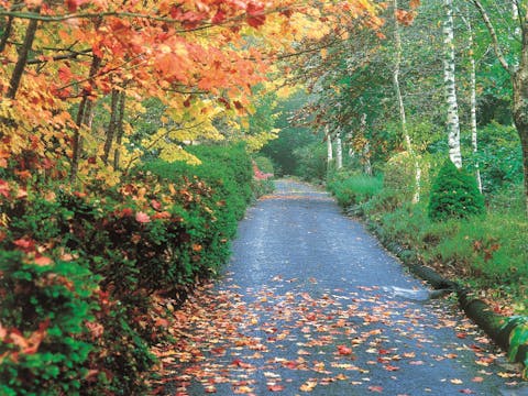 Mount Wilson and Mount Irvine