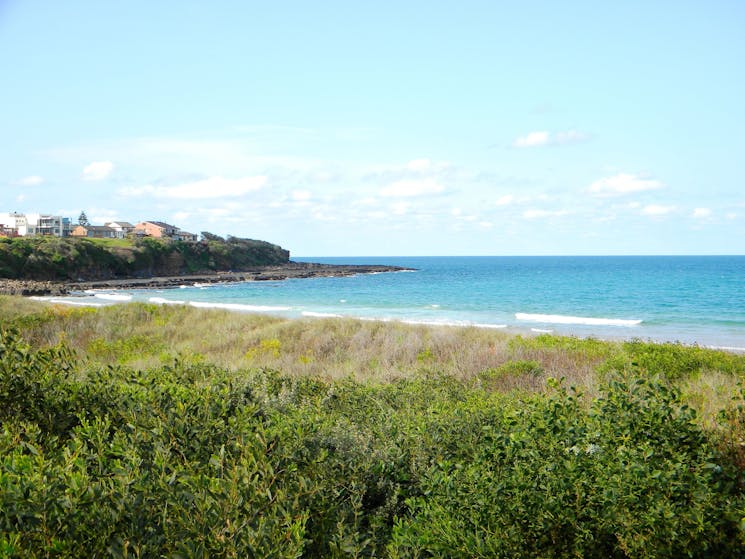 Culburra Beach