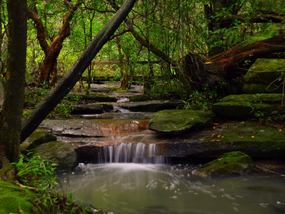Grotto Walk