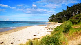 Mollymook Beach