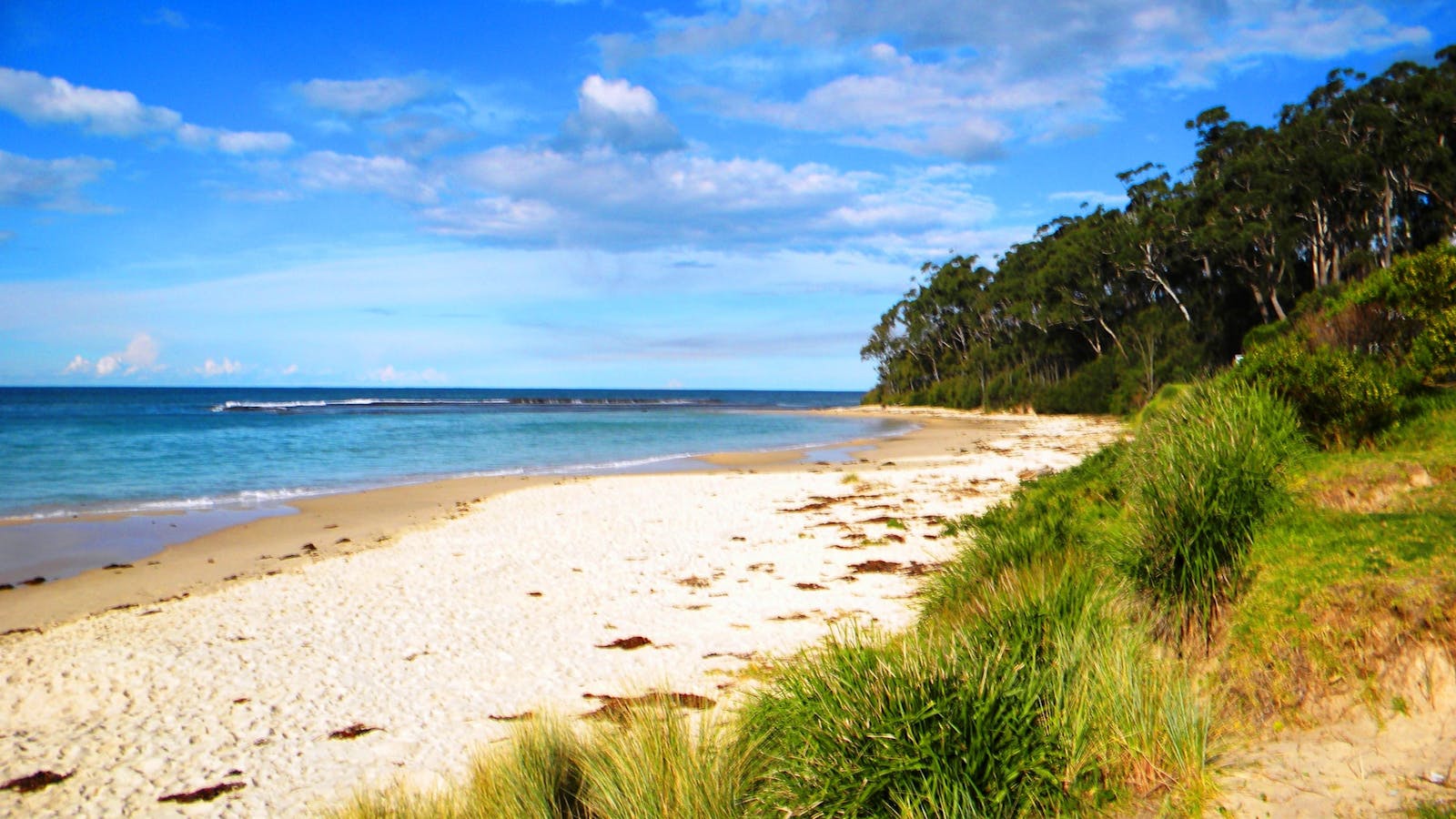 Mollymook Beach