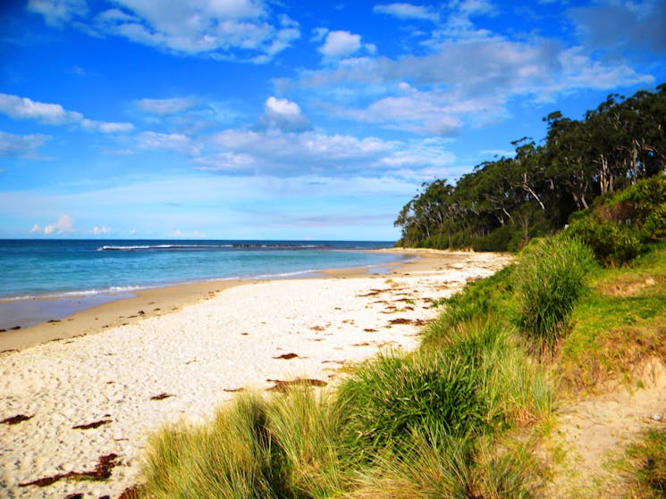 Mollymook Beach