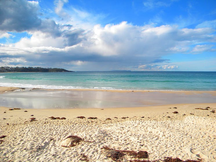 Mollymook Beach