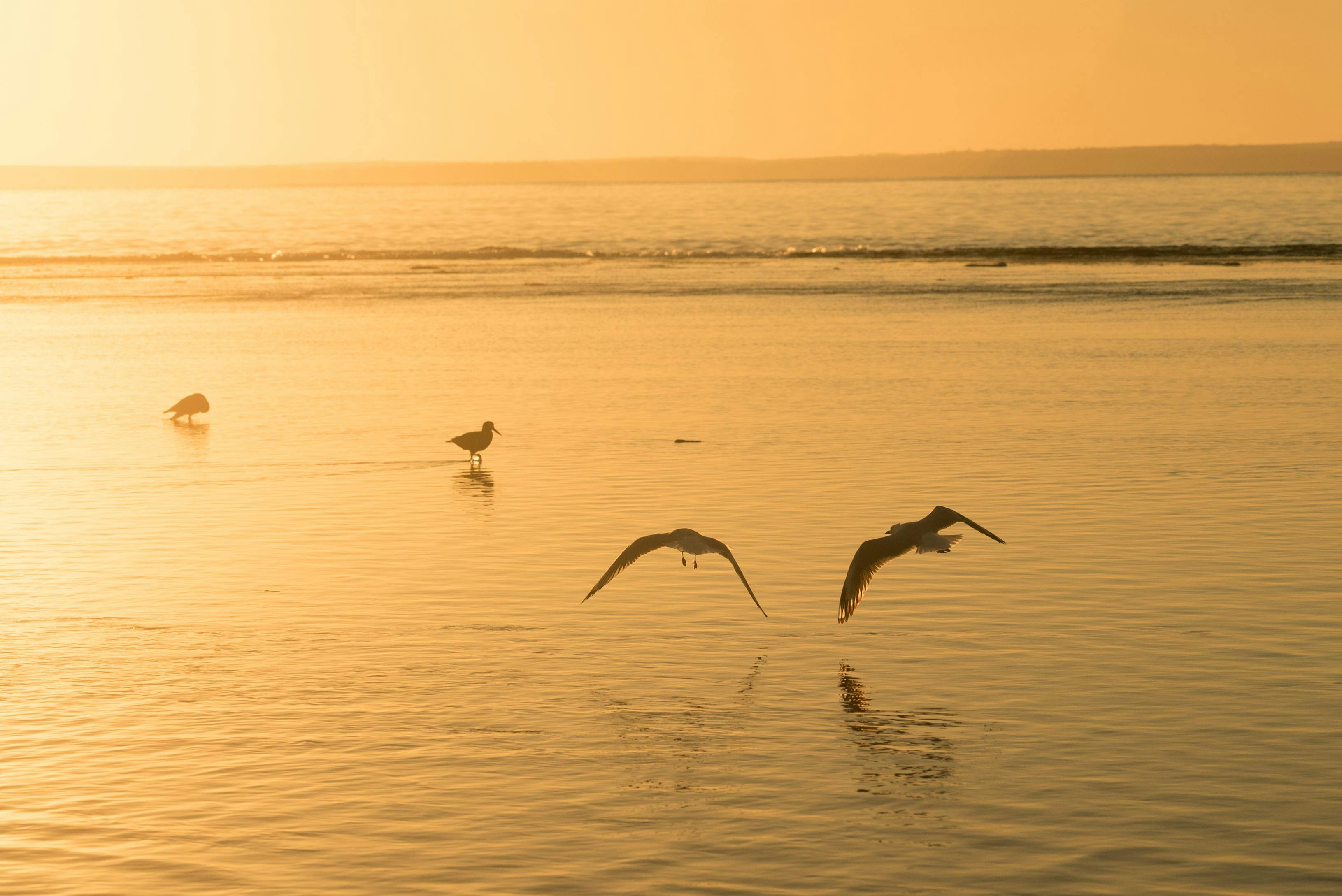 Jervis Bay Marine Park