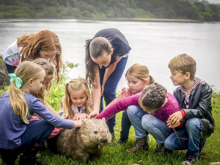 Shoalhaven Zoo