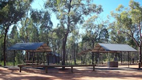 Pilliga Forest Lookout Tower