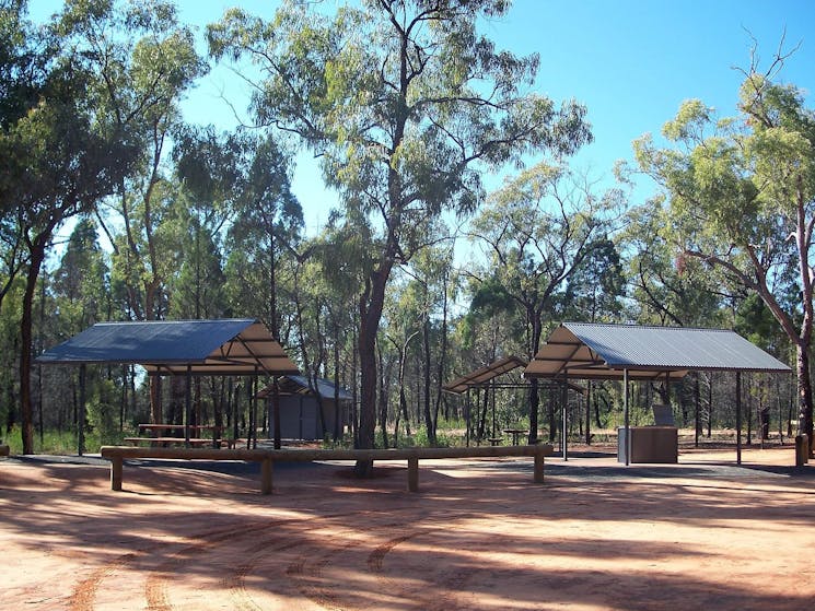 Pilliga Forest Lookout Tower