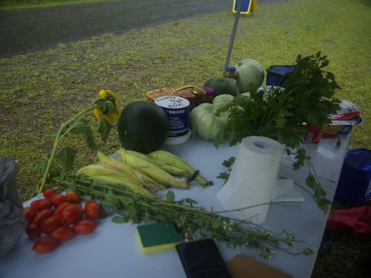 Tirrintippin organic vegetables and fruits